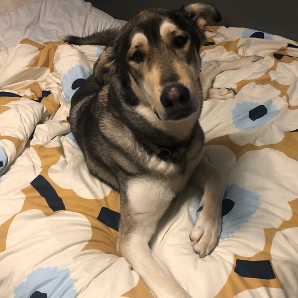 Meet your Posher, Ali - Picture 1 of 1